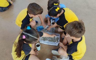 Camins d’aigua: projecte a Infantil 5 anys!