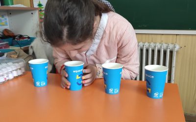 ELS SENTITS. 4t de primària