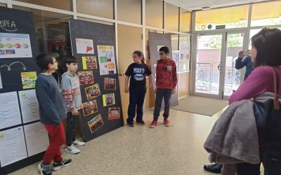 VOLS FER UN TOMB PER EUROPA? Projecte 6è de primària.